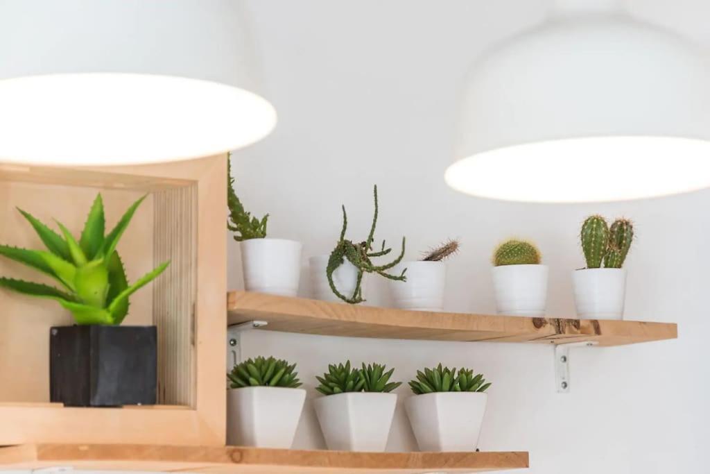 Inlapa Studio VI Porto Garden Zewnętrze zdjęcie
